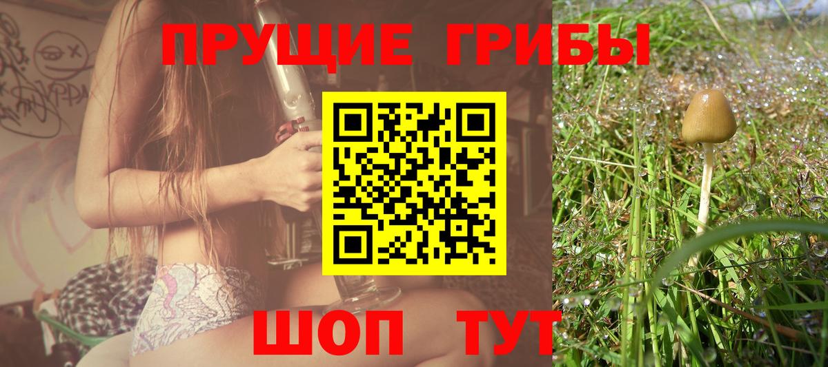 Псилоцибиновые грибы GOLDEN TEACHER Мирный