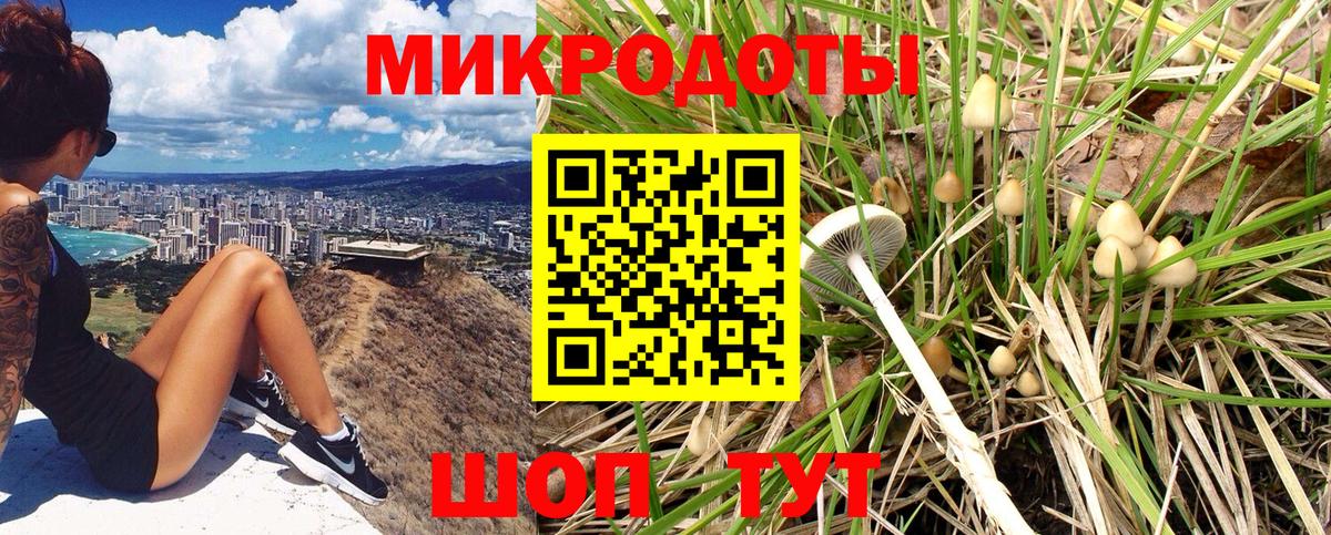 Мирный  Галлюциногенные грибы мухоморы  Вход с VPN  Галлюциногенные грибы Psilocybe 
